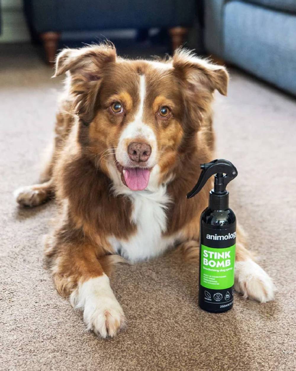 Animology Stink Bomb Deodorising Spray 250ml on white background