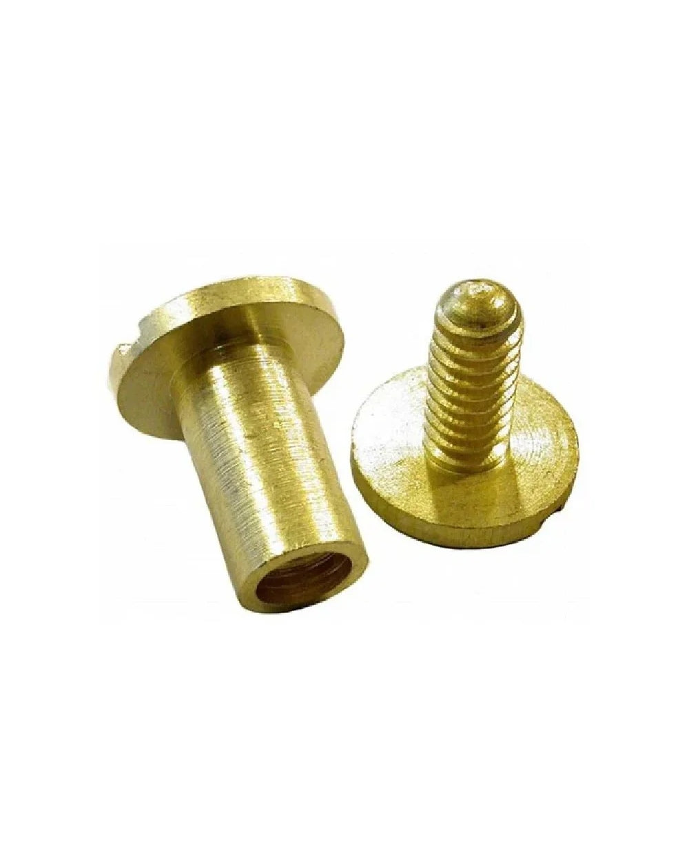 Bisley Chicago Studs Set of 1 Male, 1 Female On White Background