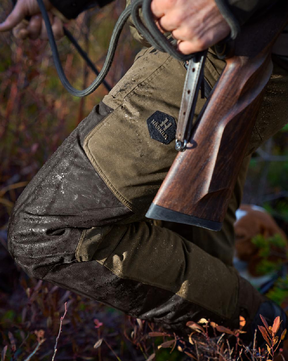 Willow Green Shadow Brown Coloured Harkila Driven Hunt HWS Leather Trousers on forest background #colour_willow-green-shadow-brown