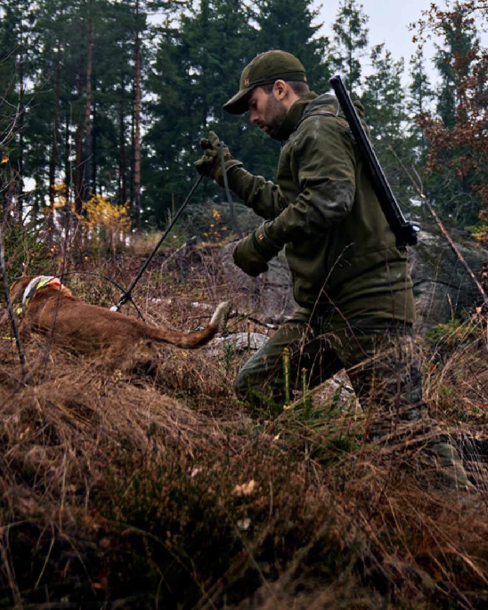 Willow Green Coloured Harkila Pro Hunter Move 2.0 GTX Jacket on outdoor background #colour_willow-green