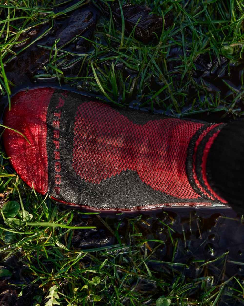Red Black Coloured Harkila Waterproof Socks on outdoor background #colour_red-black