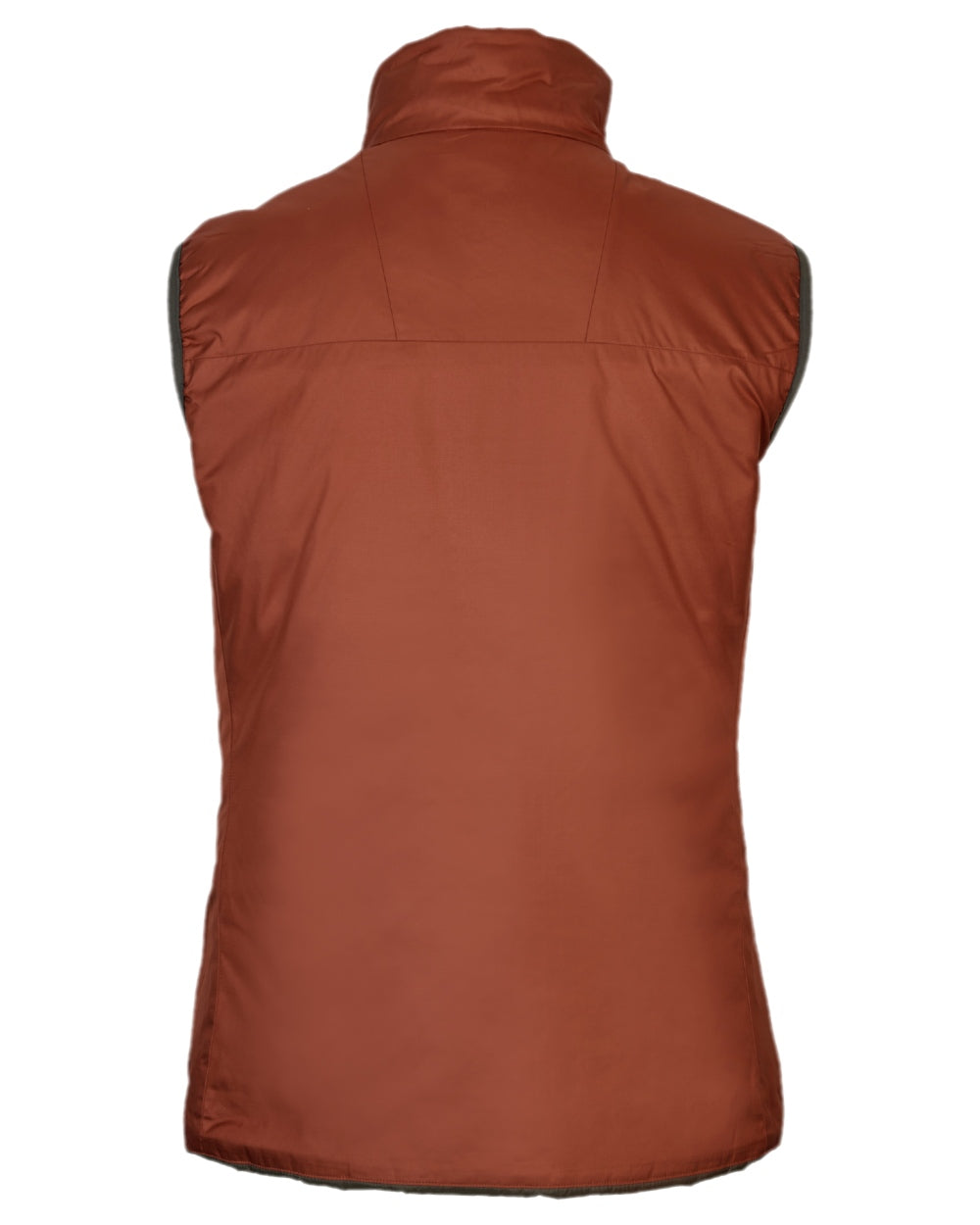 Willow Green Arabian Spice Coloured Harkila Womens Kalix HSP Waistcoat on blurry background #colour_willow-green-arabian-spice