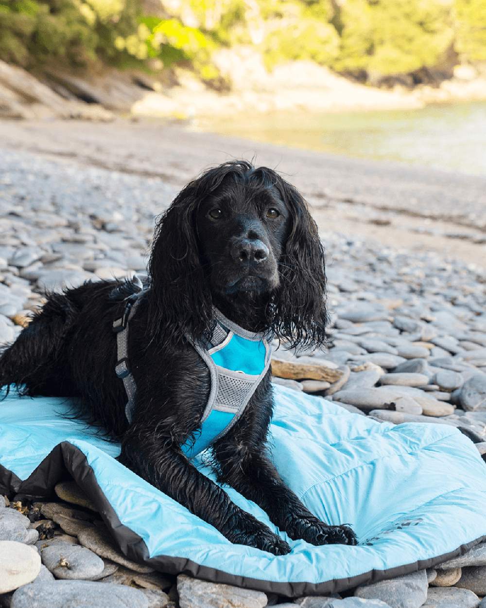 Blue coloured Henry Wag Alpine Travel Snuggle Bed on lake background #colour_blue