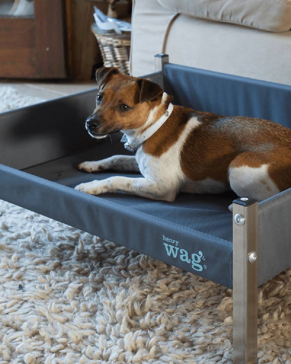 Grey Black coloured Henry Wag Elevated Dog Bed on house background #colour_grey-black