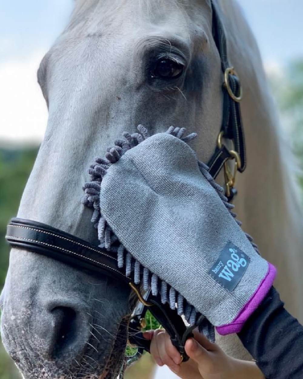 Henry Wag Equine Microfibre Cleaning Glove on white background