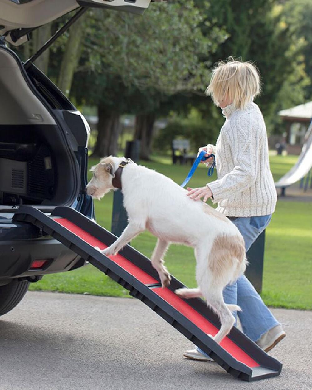 Black Red coloured Henry Wag Lightweight Folding Pet Ramp on car background #colour_black-red