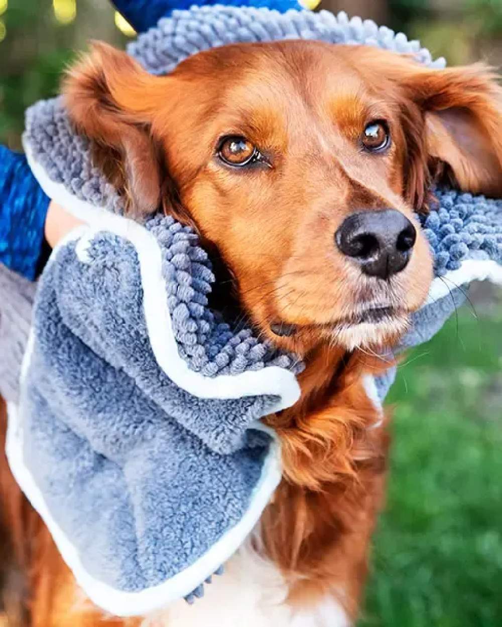 Blue Grey coloured Henry Wag Microfibre Glove Towel on garden background #colour_blue-grey