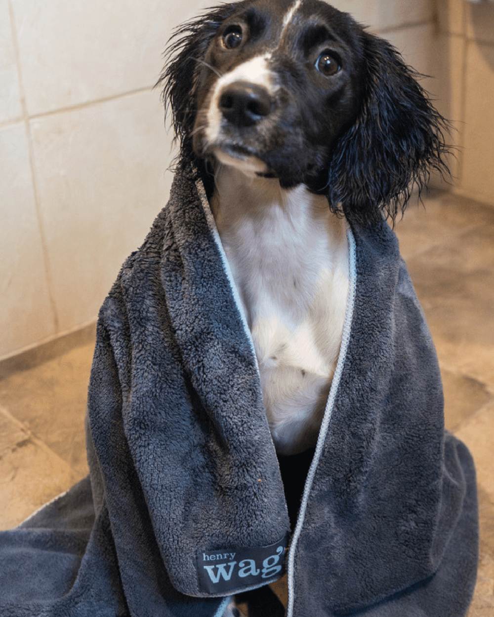 Grey Black coloured Henry Wag Microfibre Towel on house background #colour_grey-black