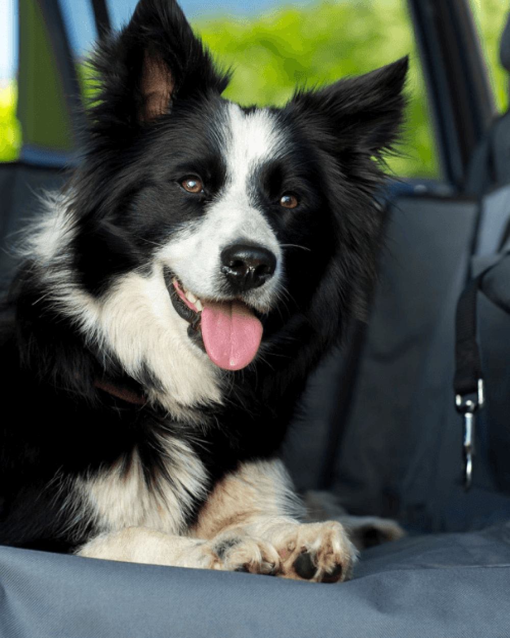 Grey Black coloured Henry Wag Pet Car Hammock on car background #colour_grey-black