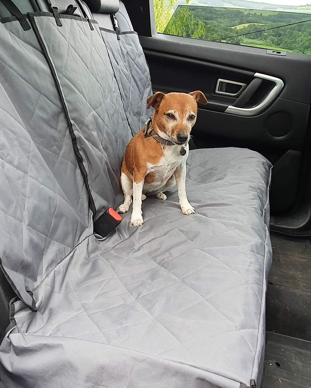 Grey coloured Henry Wag Share Spare Seat Cover on car background #colour_grey