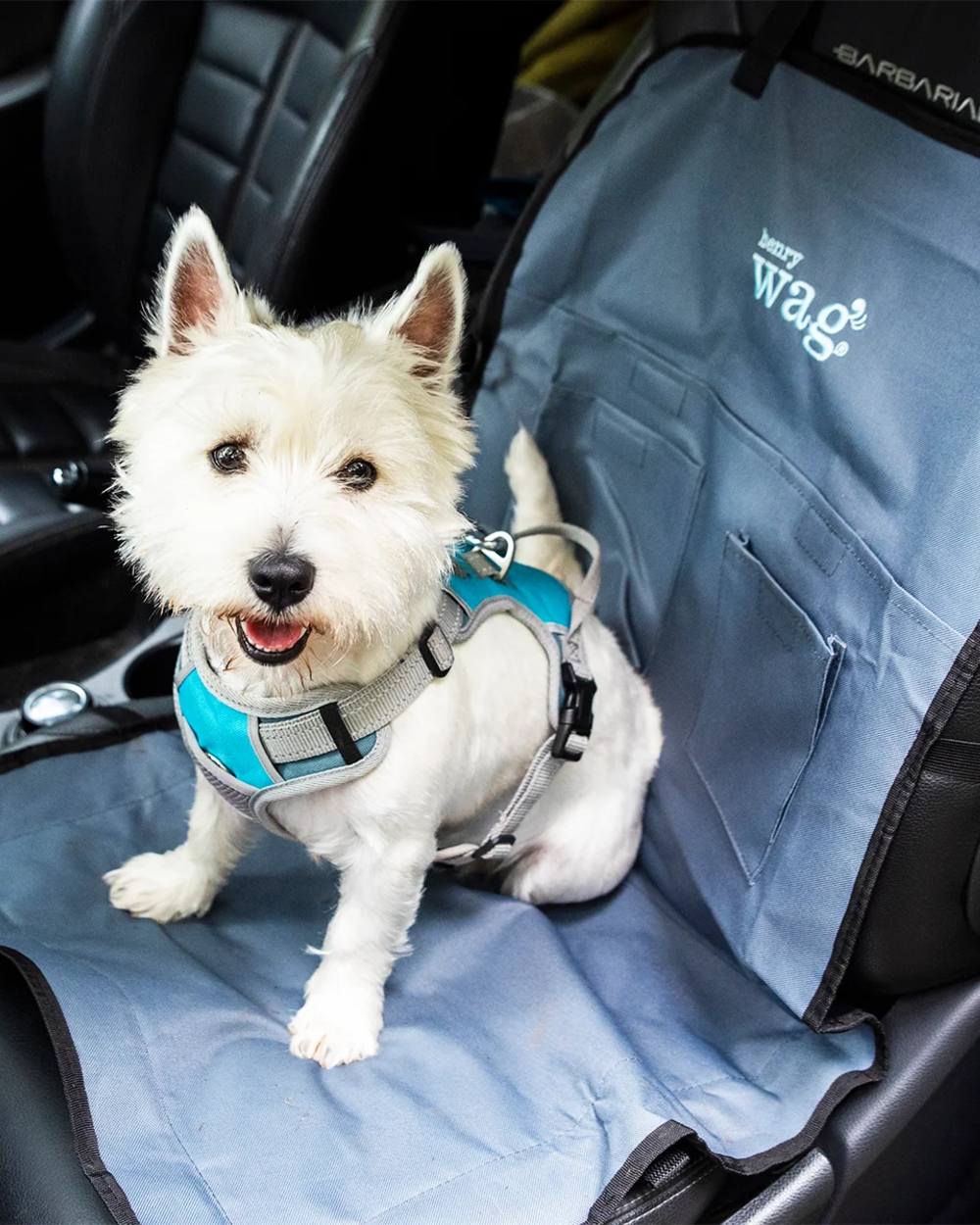 Grey Black coloured Henry Wag Single Car Seat Cover on car background #colour_grey-black