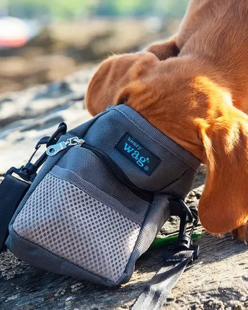 Grey coloured Henry Wag Treat Travel Bag on blurry background #colour_grey