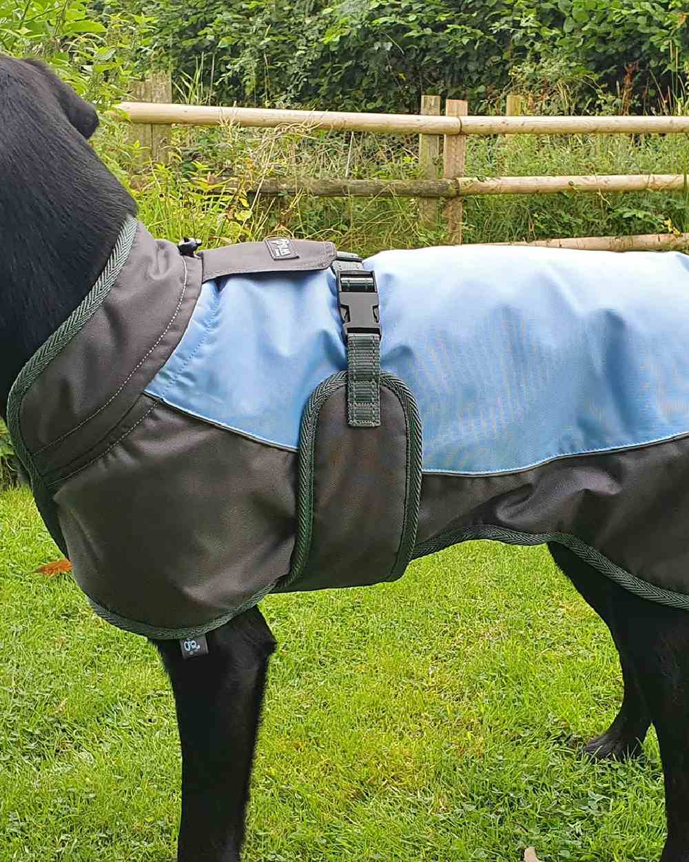 Blue Grey Henry Wag Waterproof Dog Coat on grass background #colour_blue-grey