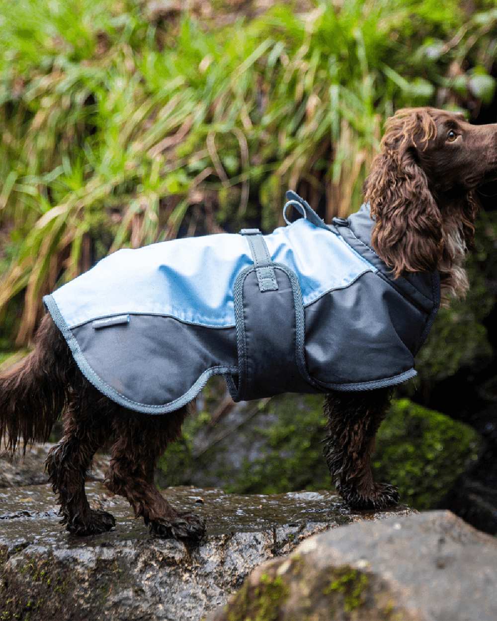 Blue Grey Henry Wag Waterproof Dog Coat on stone background #colour_blue-grey