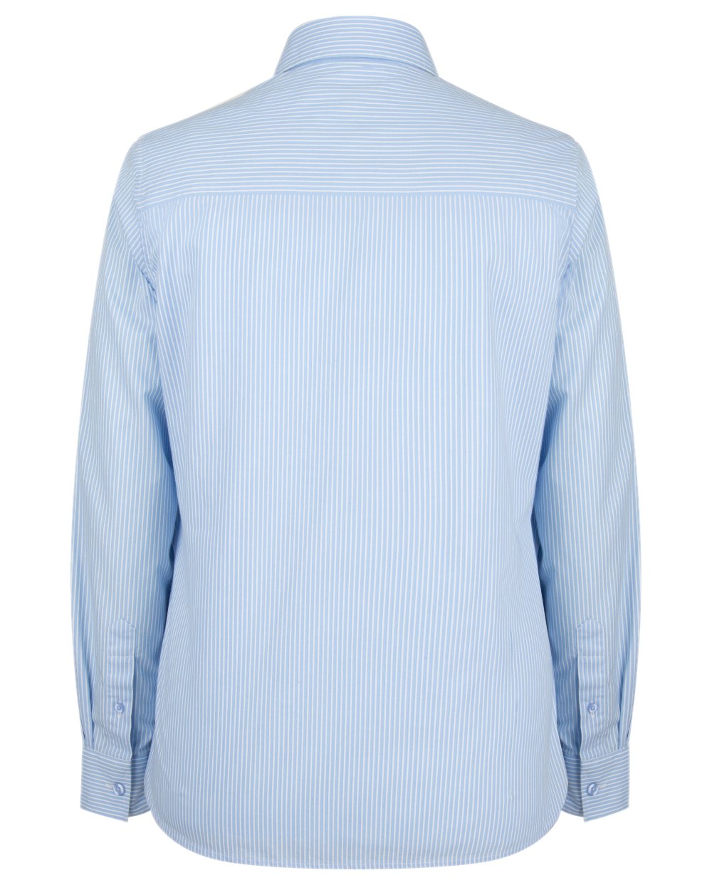 Blue Stripe Coloured Hoggs of Fife Bonnie II Ladies Cotton Shirt on white background #colour_blue-stripe