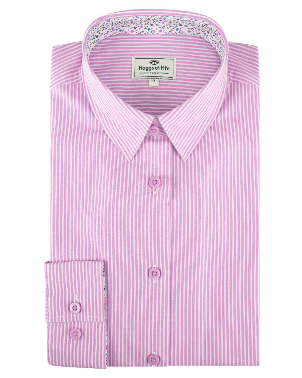 Lavender Stripe Coloured Hoggs of Fife Bonnie II Ladies Cotton Shirt on white background #colour_lavender-stripe