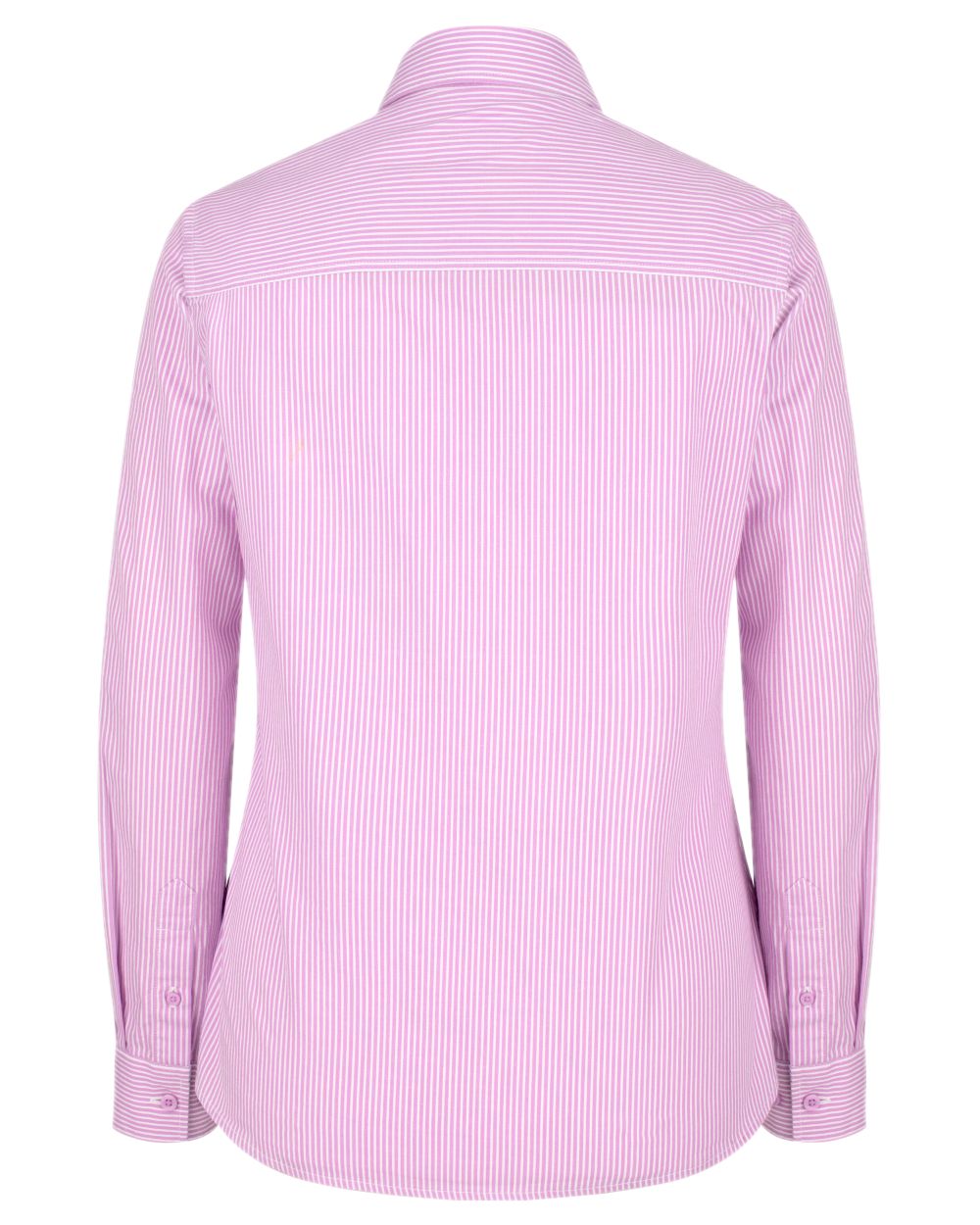 Lavender Stripe Coloured Hoggs of Fife Bonnie II Ladies Cotton Shirt on white background #colour_lavender-stripe