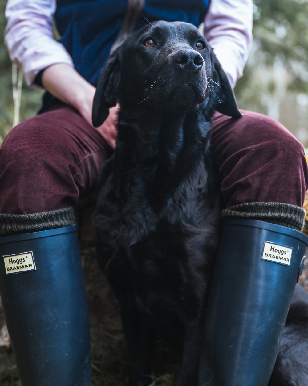 Navy Coloured Hoggs of Fife Braemar Wellingtons on blurry background #colour_navy