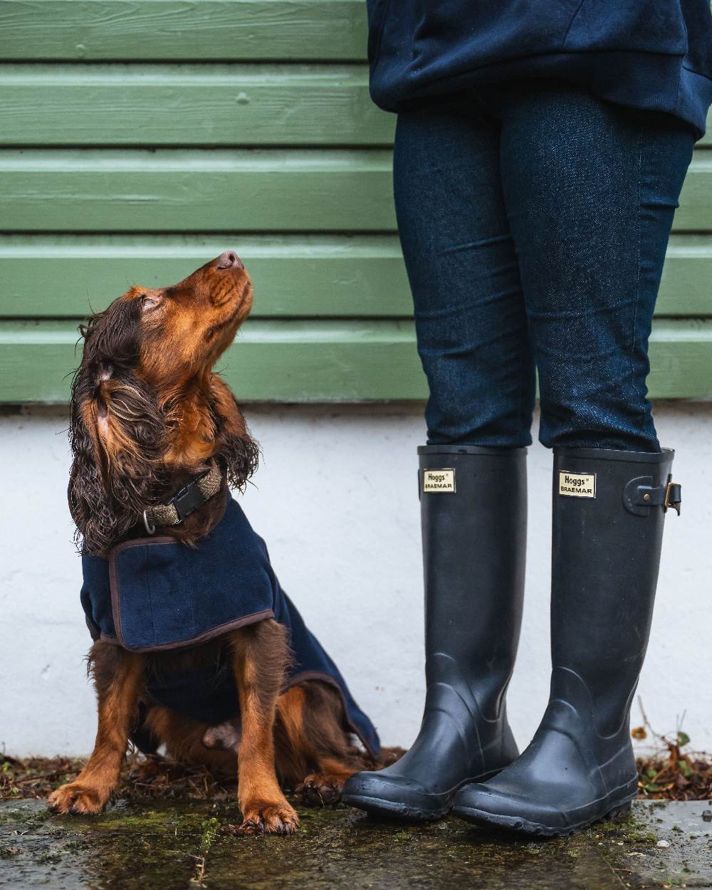 Navy Coloured Hoggs of Fife Braemar Wellingtons on countryside background #colour_navy