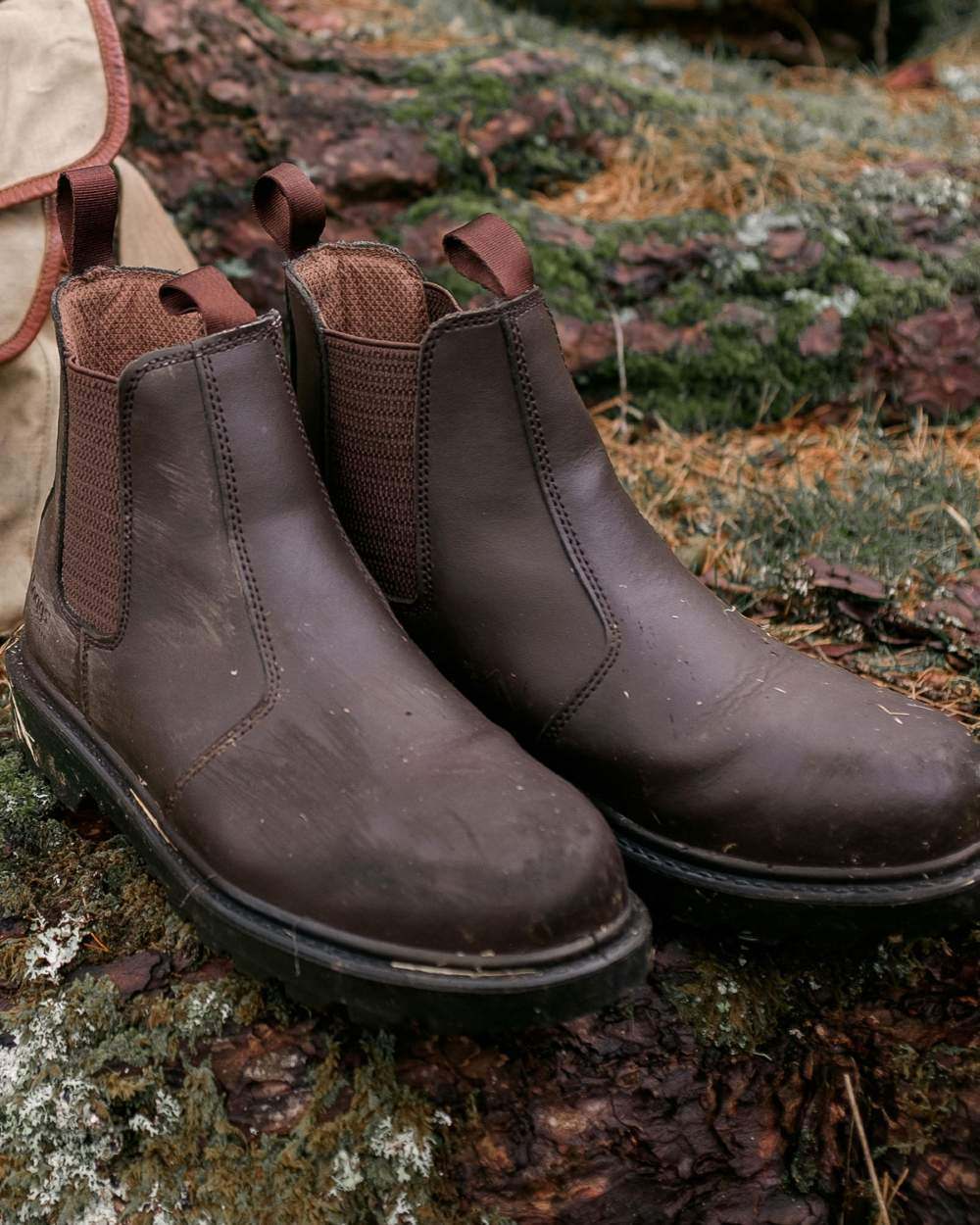 Dark Brown Coloured Hoggs of Fife Classic Safety Dealer Boot on countryside background #colour_dark-brown