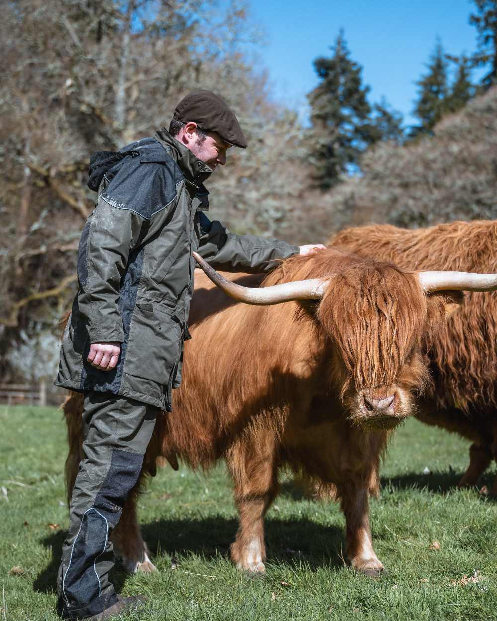 Green Coloured Hoggs of Fife Field Tech Waterproof Jacket on forest background #colour_green