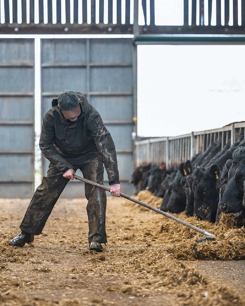 Green Coloured Hoggs of Fife Green King II Waterproof Trousers on barn background #colour_green