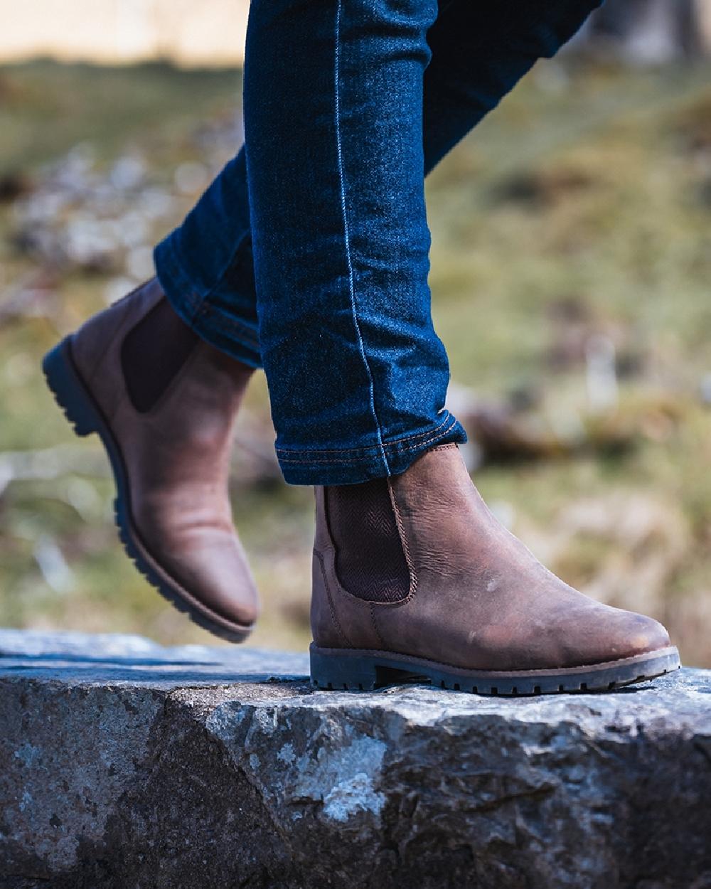 Brown Coloured Hoggs of Fife Ladies Jodhpur Dealer Boots On blurry background #colour_brown