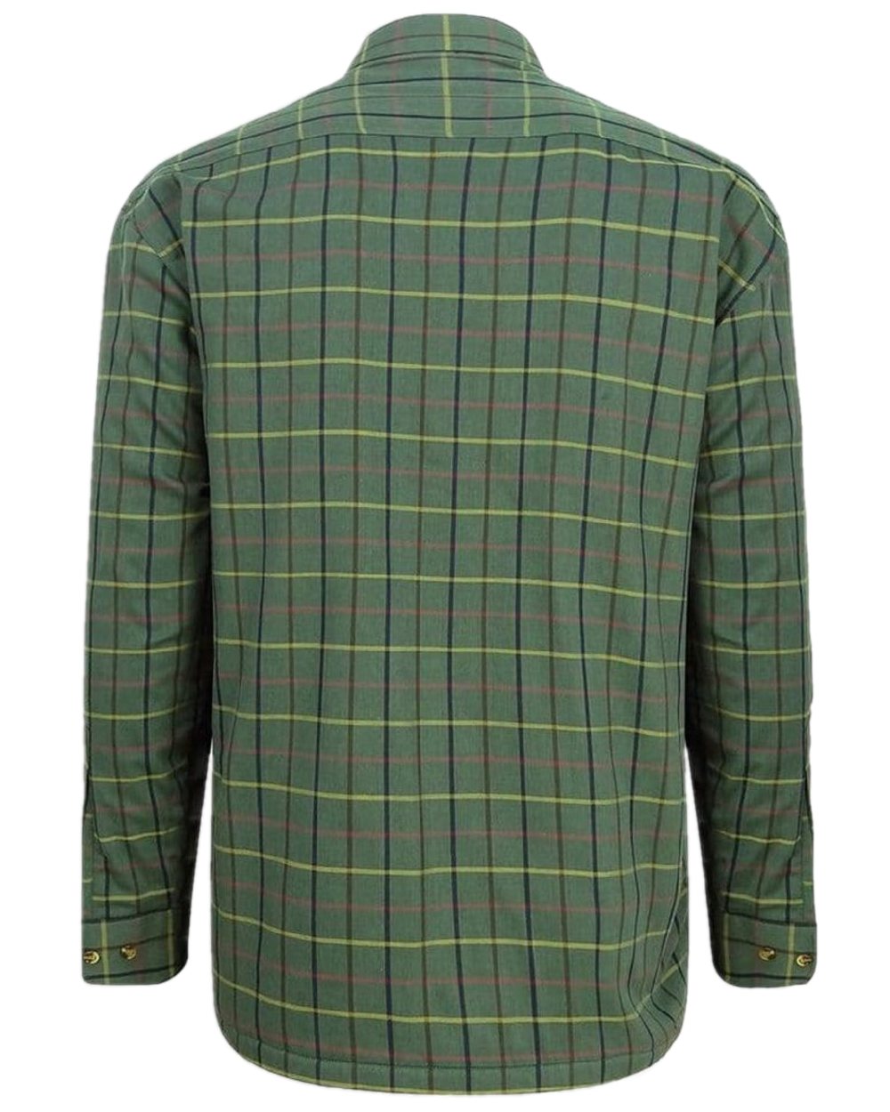 Beech Green Check Coloured Hoggs of Fife Micro Fleece Lined Shirt on white background #colour_beech-green-check