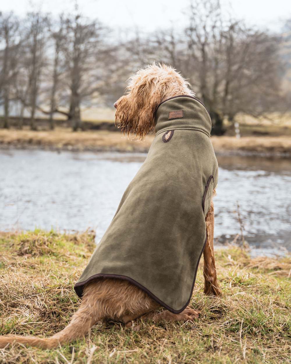 Navy Coloured Hoggs of Fife Stenton Fleece Dog Coat on countryside background #colour_navy