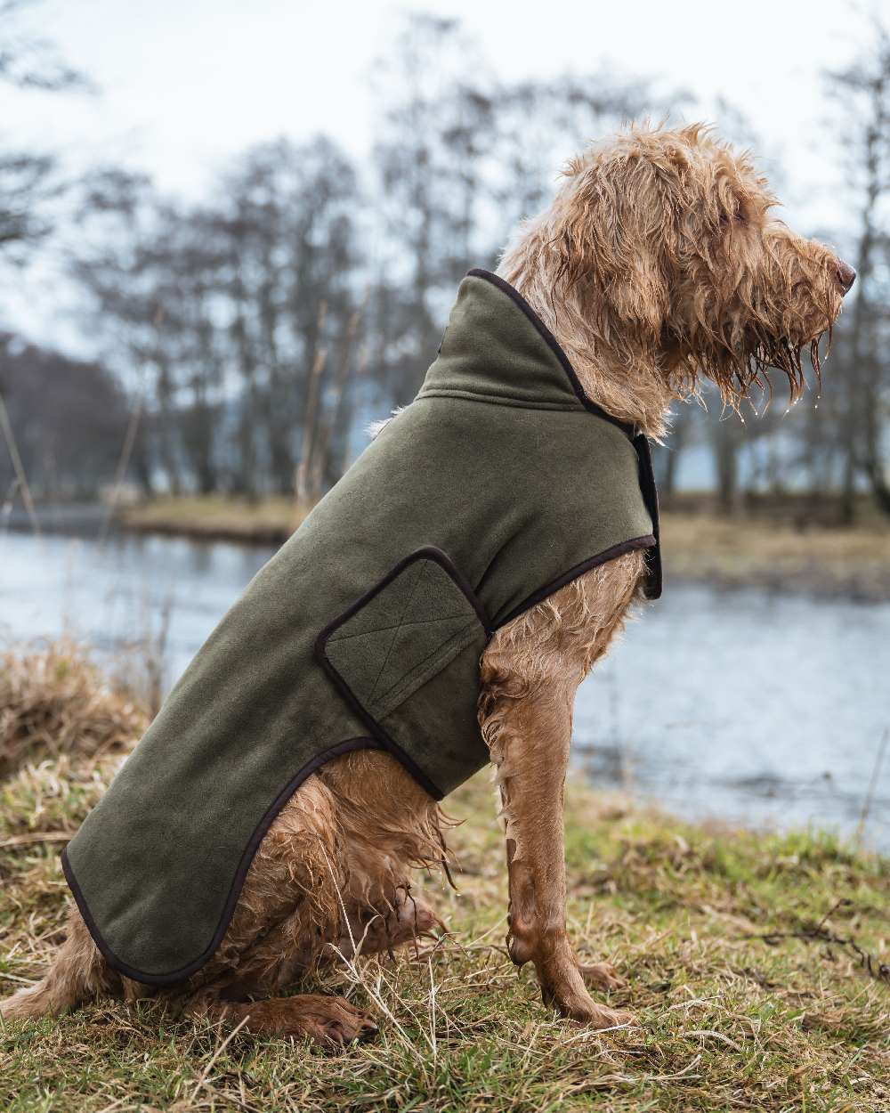 Navy Coloured Hoggs of Fife Stenton Fleece Dog Coat on countryside background #colour_navy