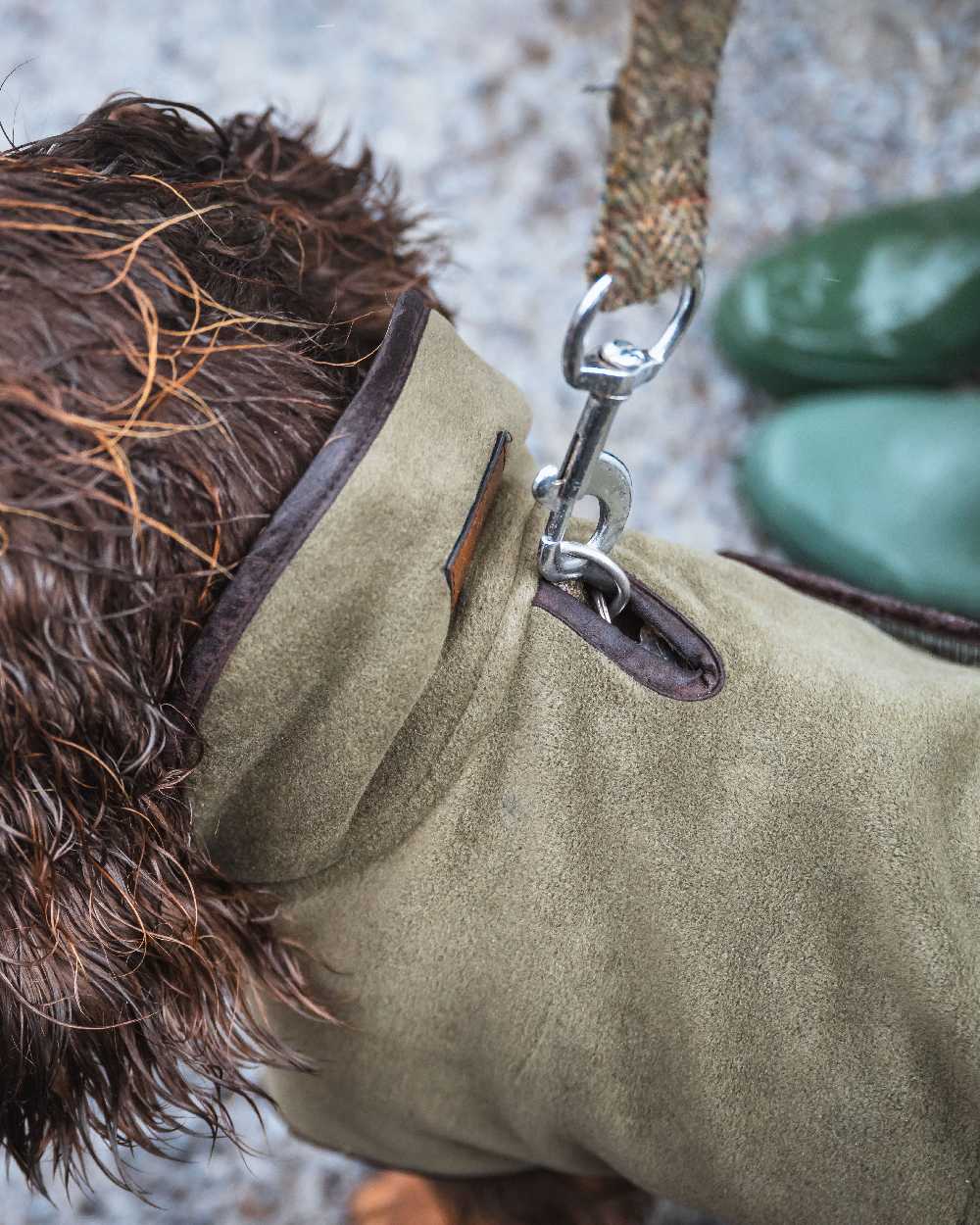 Navy Coloured Hoggs of Fife Stenton Fleece Dog Coat on blurry background #colour_navy