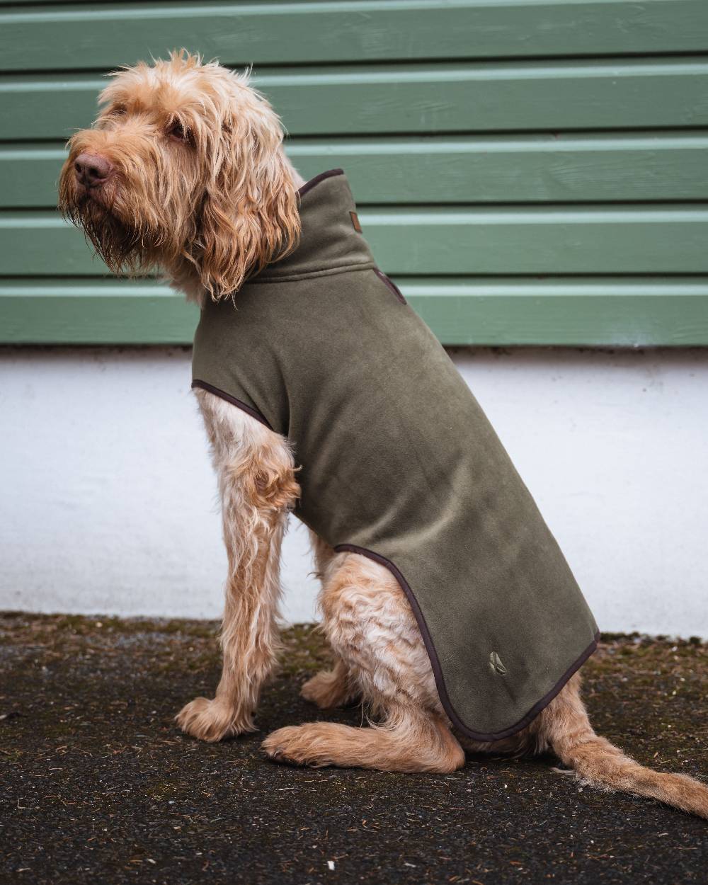Navy Coloured Hoggs of Fife Stenton Fleece Dog Coat on countryside background #colour_navy