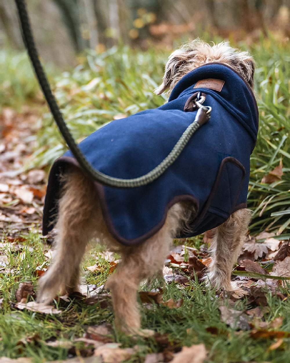 Navy Coloured Hoggs of Fife Stenton Fleece Dog Coat on countryside background #colour_navy