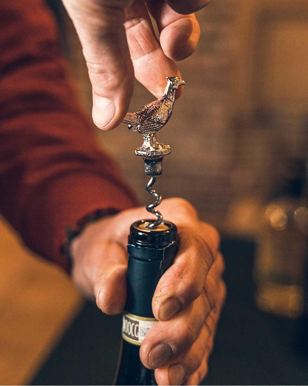 Pheasant Jack Pyke Corkscrew on blurry background #style_pheasant