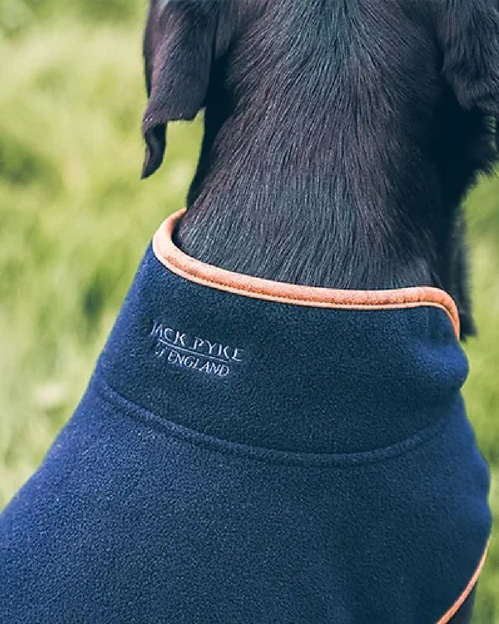 Navy coloured Fleece Dog Coat on blurry background #colour_navy