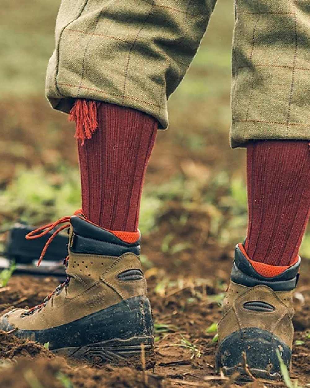 Burgundy coloured Jack Pyke Plain Shooting Socks on mud background #colour_burgundy