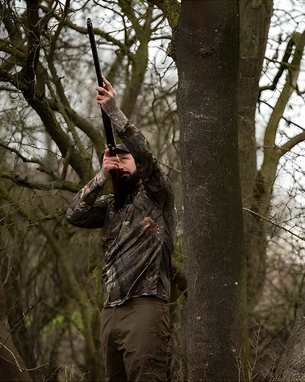 EVO coloured Quick Wick Armour Top on forest background #colour_evo