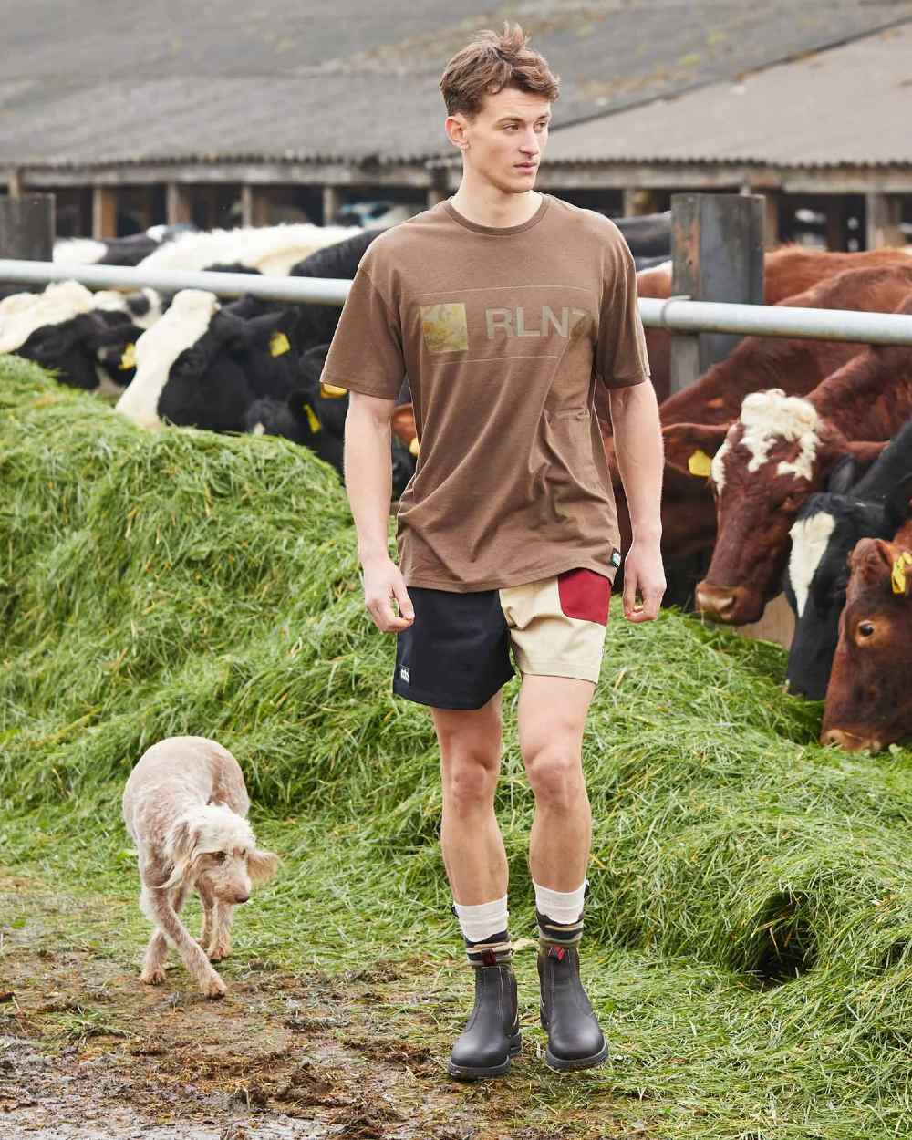 Black Multi coloured Ridgeline Backslider Shorts on farmyard background #colour_black-multi