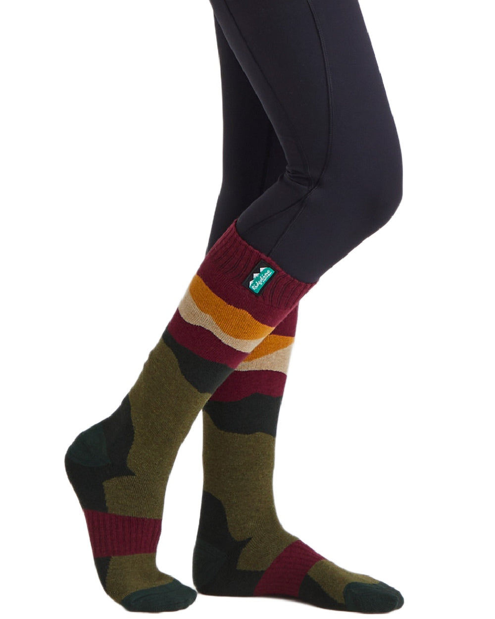 Berry Stripes Coloured Ridgeline Merino Wool Full Length Socks on white background #colour_berry-stripes