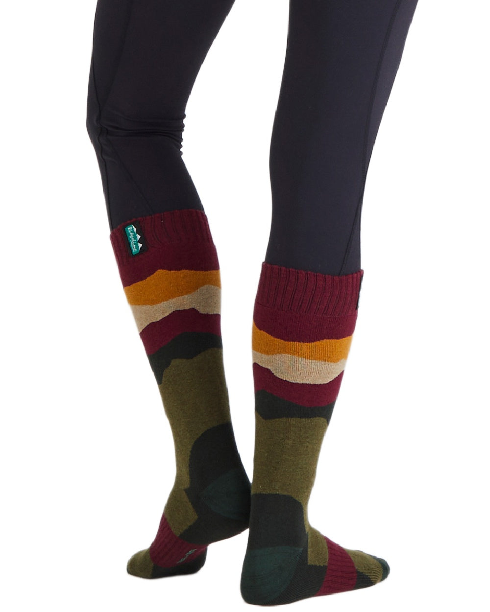Berry Stripes Coloured Ridgeline Merino Wool Full Length Socks on white background #colour_berry-stripes