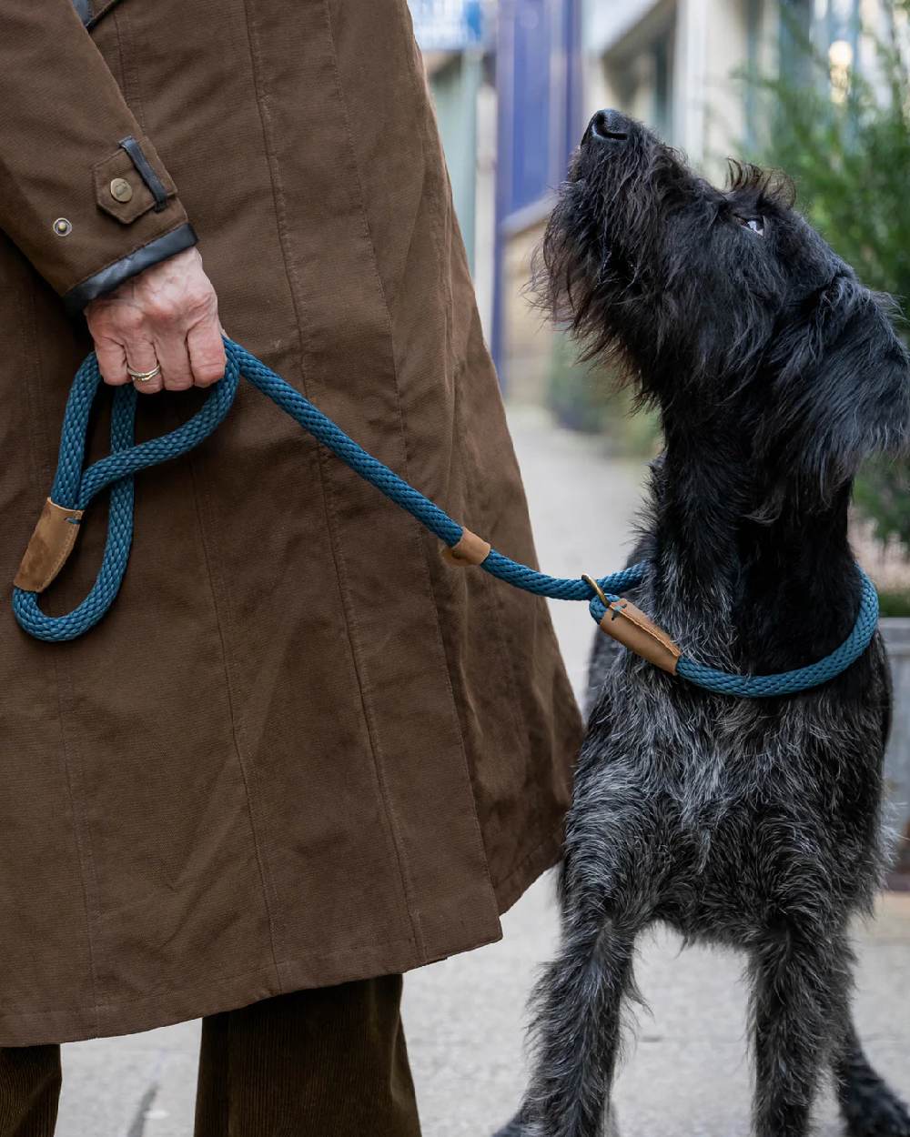Sandringham Blue Coloured Ruff & Tumble Slip Dog Leads on outdoor background #colour_sandringham-blue