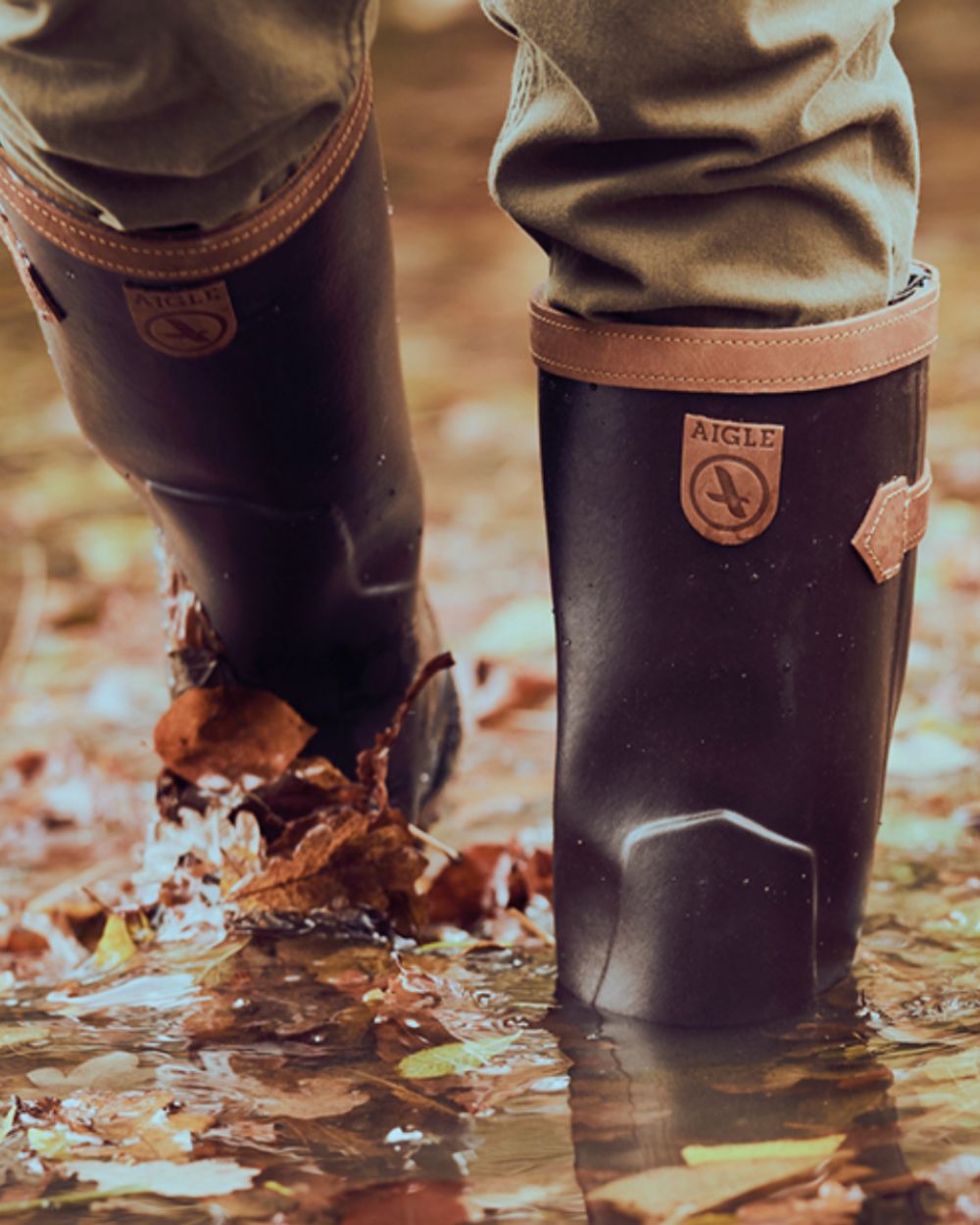 Dark Brown Coloured Aigle Parcours 2 Signature Wellingtons On A Forest Background #colour_dark-brown
