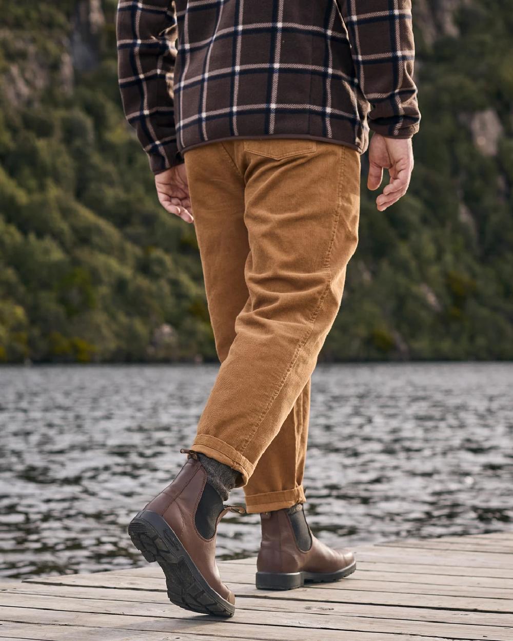 Sierra Brown coloured Blundstone 2305 Brown Leather Chelsea Boots on forest background #colour_sierra-brown