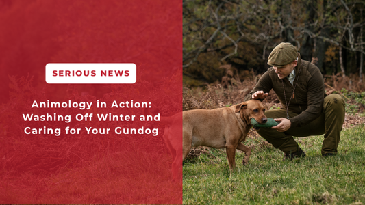 Animology in Action: Washing Off Winter and Caring for Your Gundog