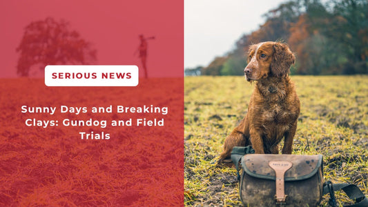 Sunny Days and Breaking Clays: Gundog and Field Trials