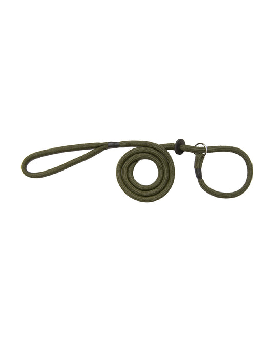 Green Coloured Bisley Basic Slip Lead on white background #colour_green