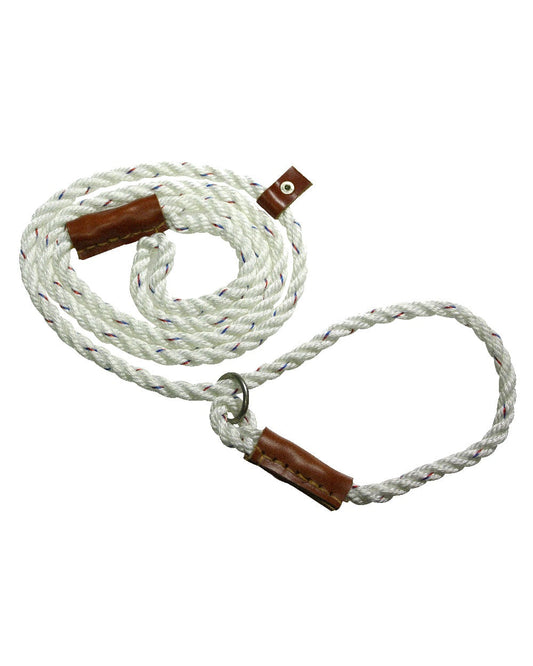 Bisley Field Trial Dog Lead On White Background