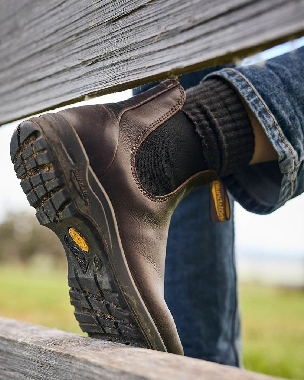 Cocoa Brown Coloured Blundstone 2057 Cocoa Brown Chelsea Boots on  outdoor background #colour_cocoa-brown