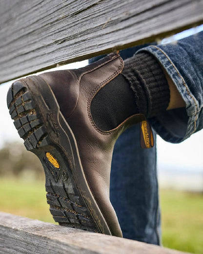 Cocoa Brown Coloured Blundstone 2057 Cocoa Brown Chelsea Boots on  outdoor background #colour_cocoa-brown