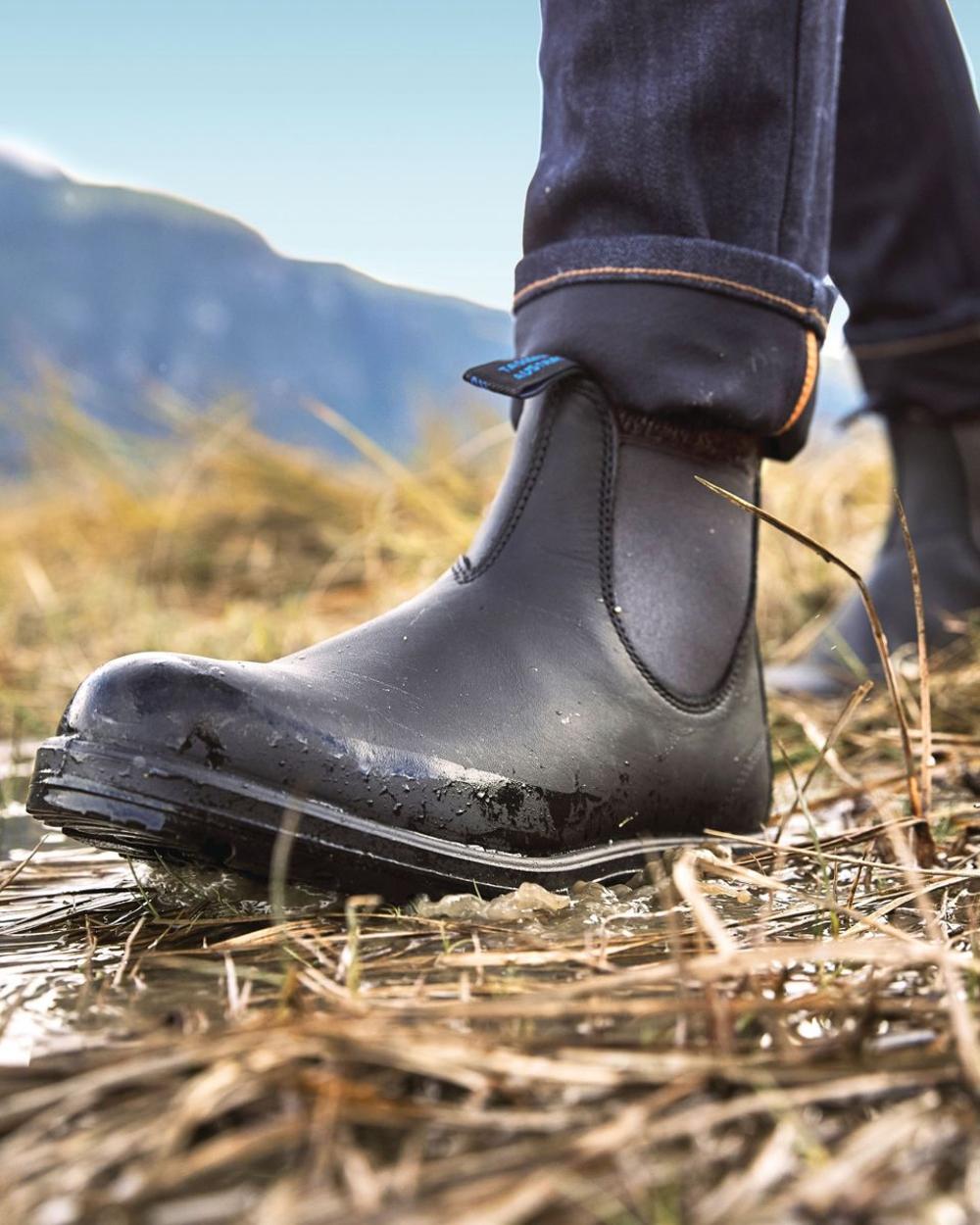 Black coloured Blundstone 566 Thermal Leather Chelsea Boots on forest background #colour_black